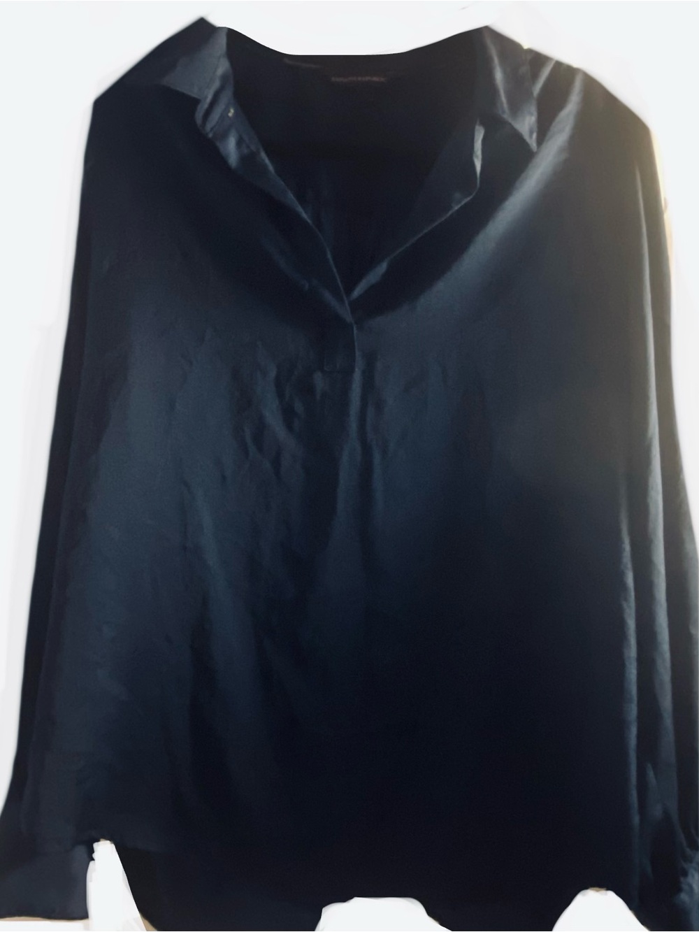 Banana Republic Womens Navy collared dress shirt.